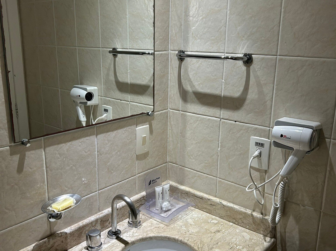 Blue Tree Towers All Suites Santo André主图