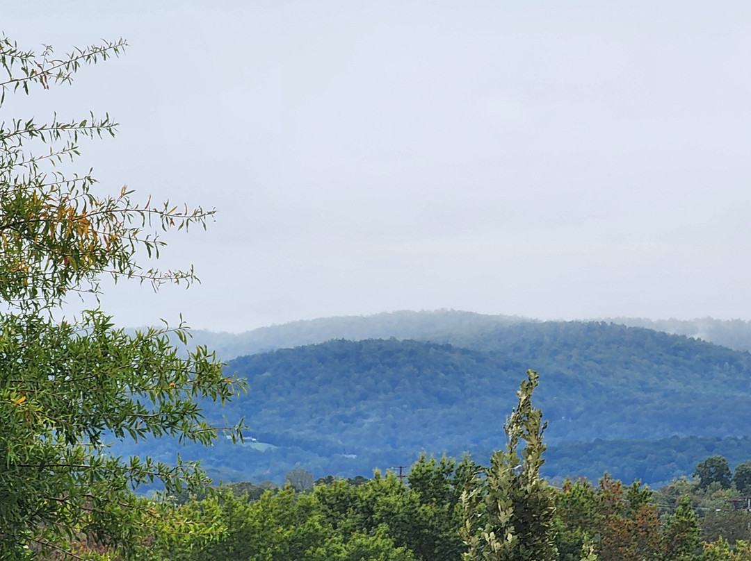 Staybridge Suites Charlottesville Airport by IHG主图