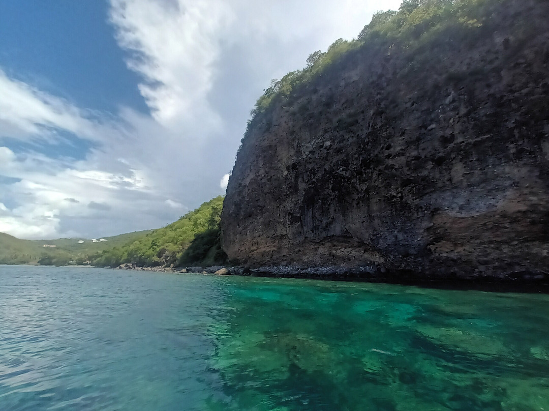 Dauphins Martinique-Trois-Ilets必去景点