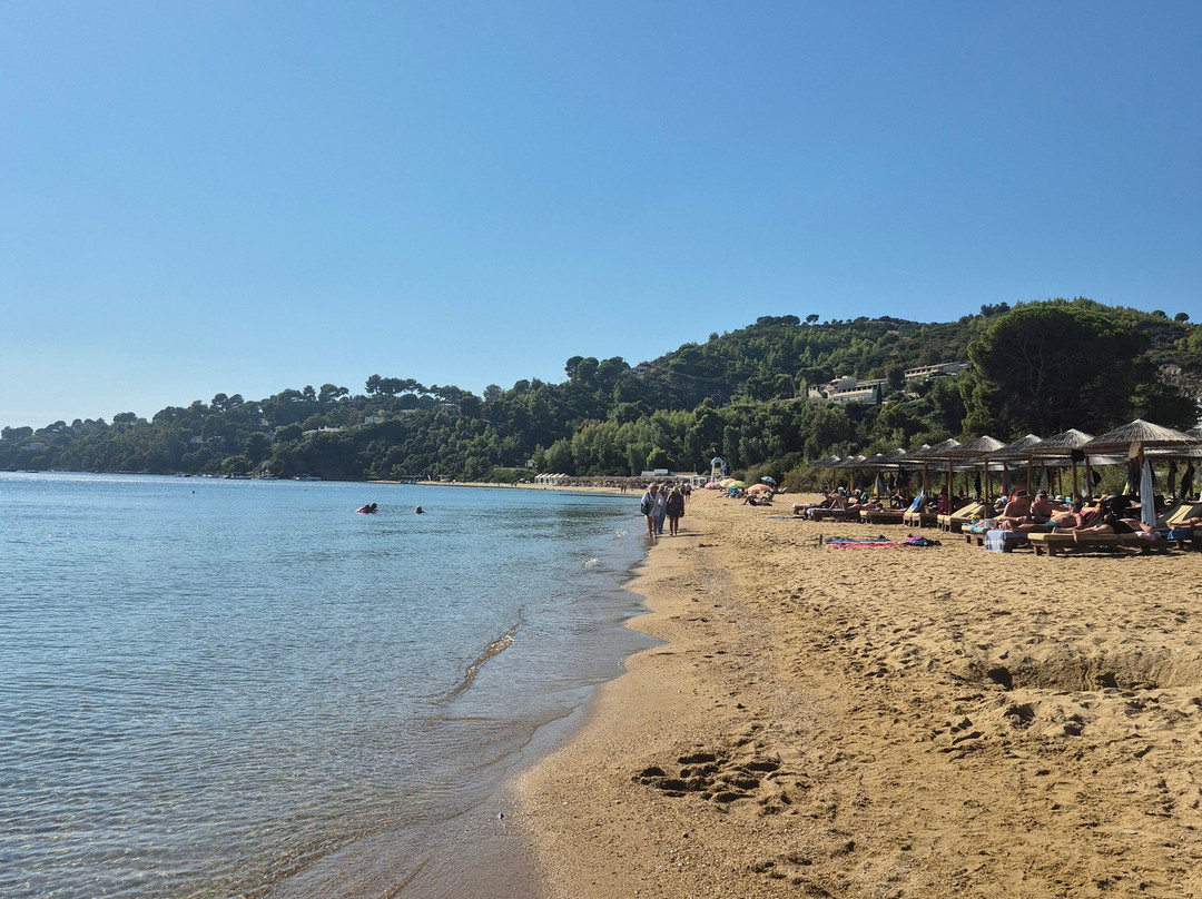 Studio Jimmy's主图