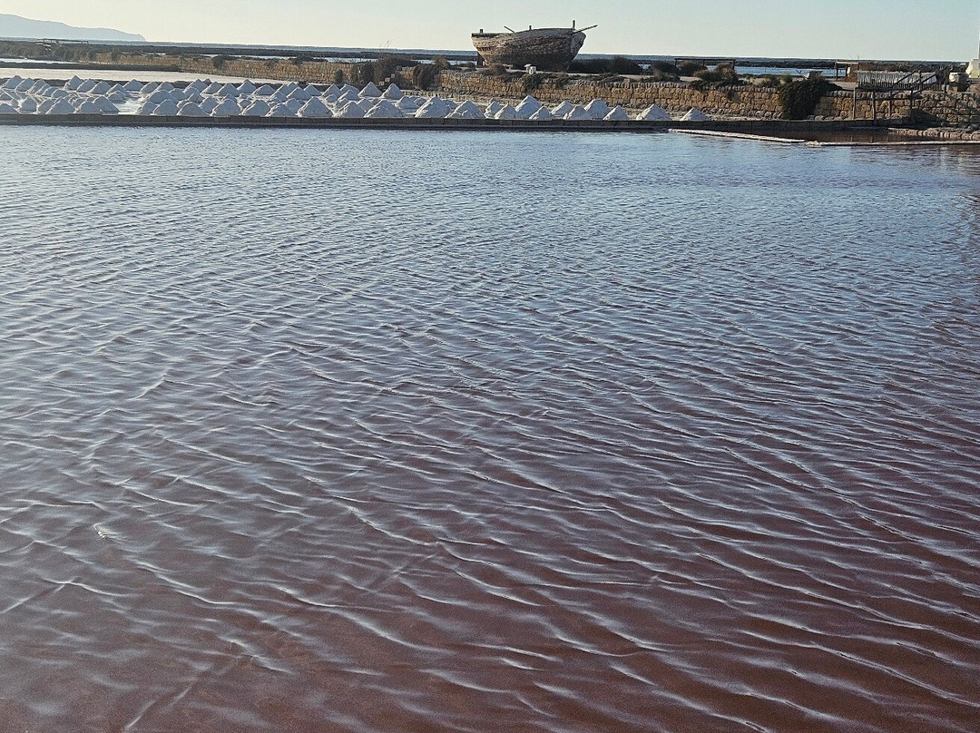 Saline Culcasi