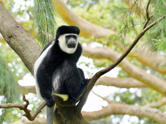 Dream Ethiopia Travel-亚的斯亚贝巴必去景点