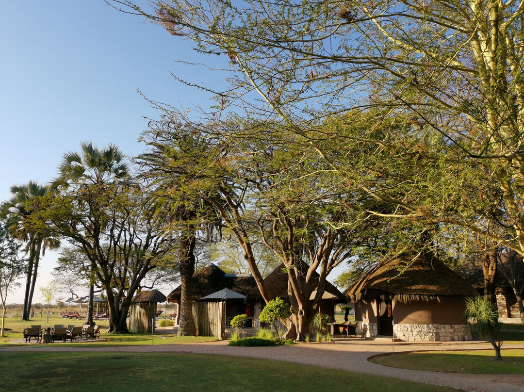 Onguma Bush Camp主图