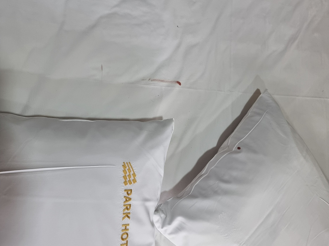 Andong Park Hotel主图