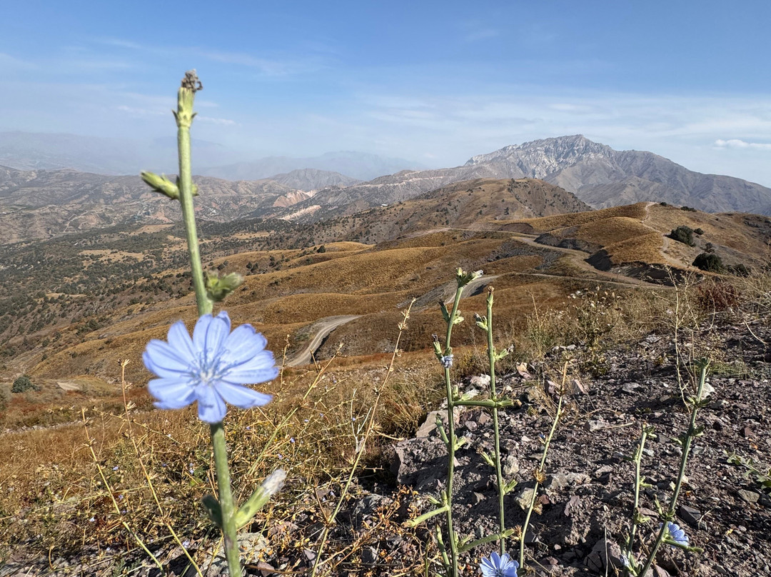 ASTOUR travel company-塔什干必去景点