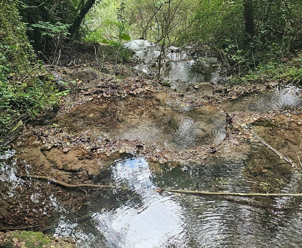 Cascata delle Vallocchie-Castel di Tora必去景点