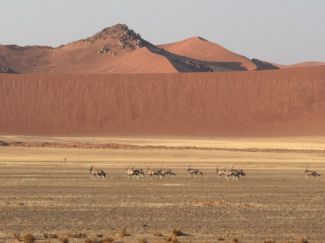 Great Explorations Namibia-温德和克必去景点