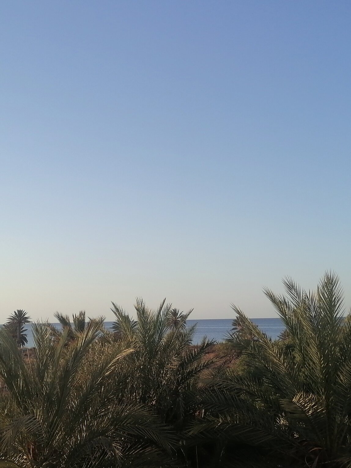 Hotel Ennakhla-官方