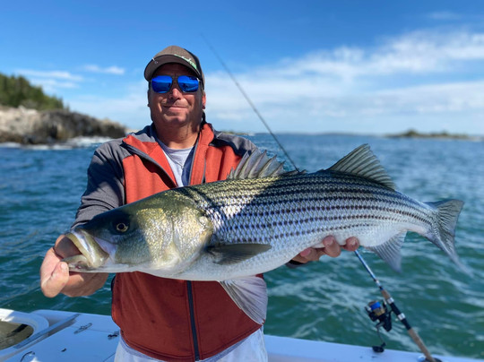 Mary May Charters-南波特兰必去景点