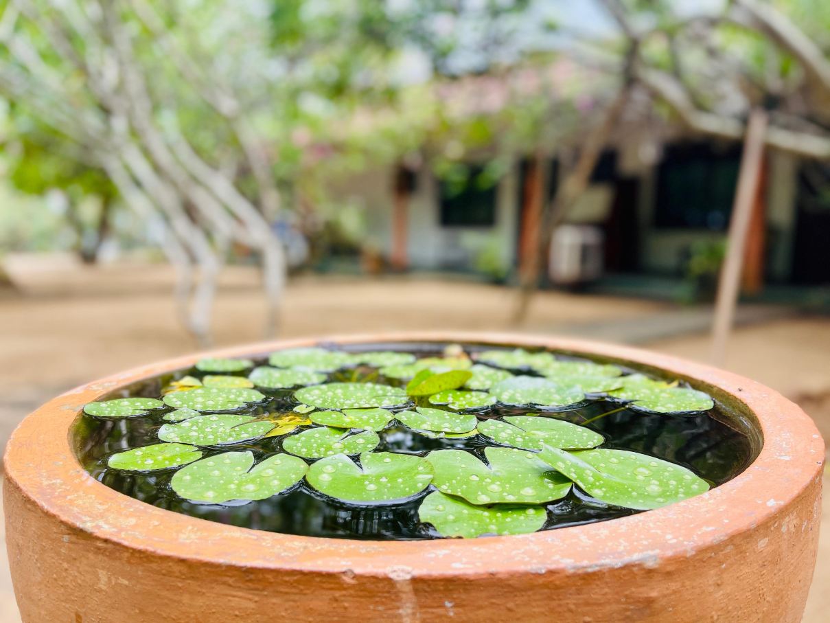 Nature Lanka Ayurveda Health Resort-浴室
