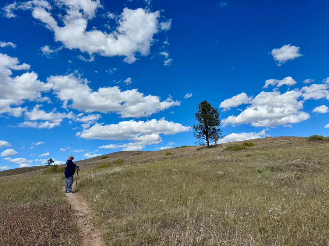 Wind Cave National Park-Wind Cave National Park必去景点