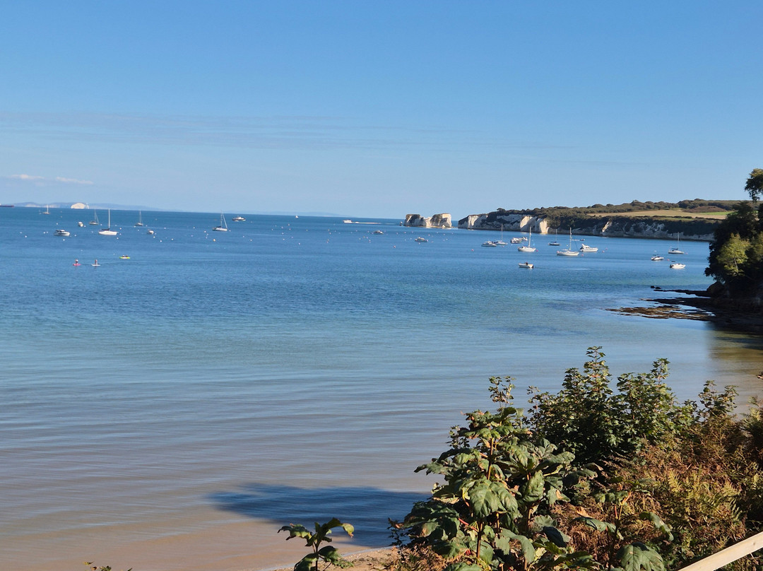 The Purbeck Way