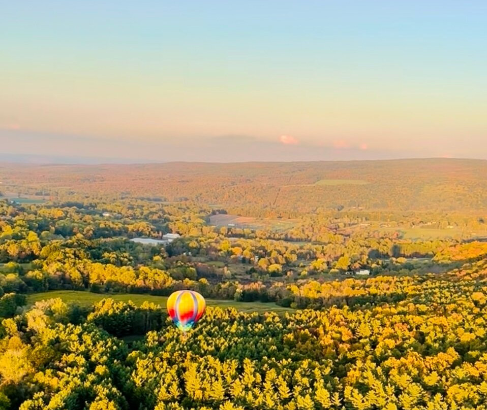 Liberty Balloon Company-Groveland必去景点