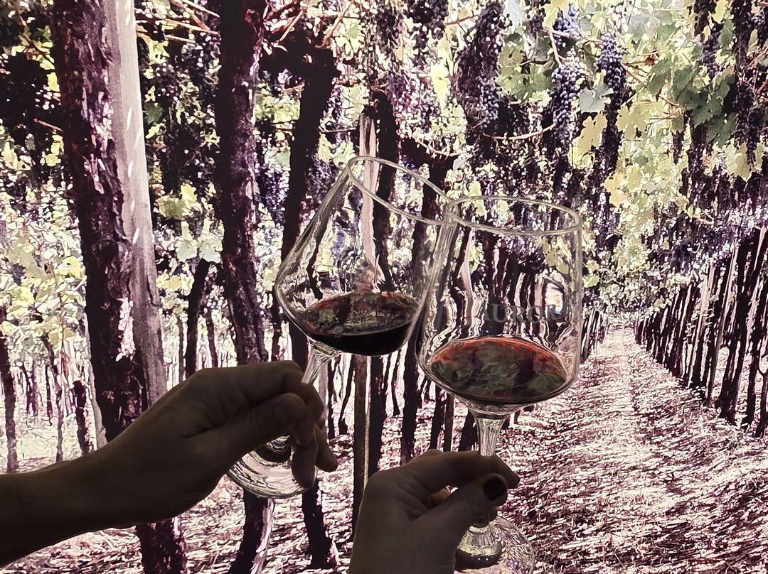 Aurora Winery-本图贡萨尔维斯必去景点