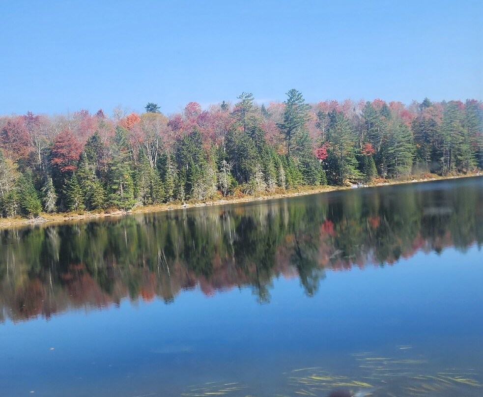 Adirondack Railroad-Utica必去景点