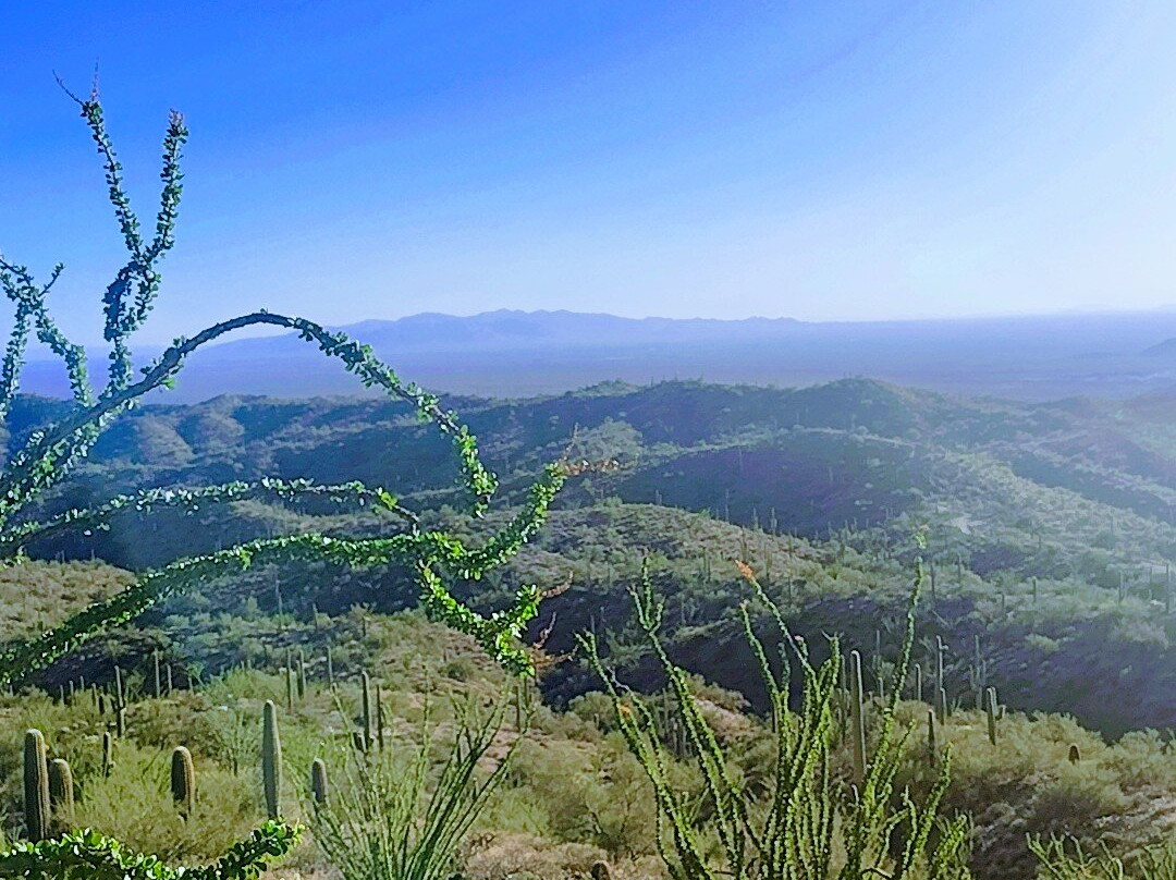 AZ ATV Adventures-Buckeye必去景点