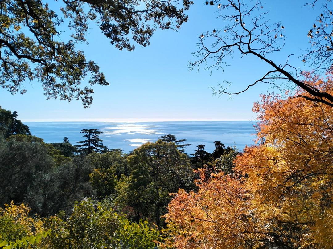 Nikita Botanical Gardens-Nikita必去景点