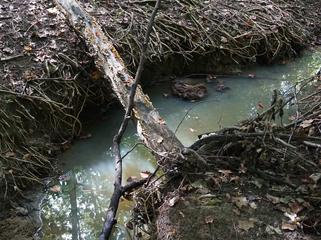 Quiet Waters Park-安纳波利斯必去景点