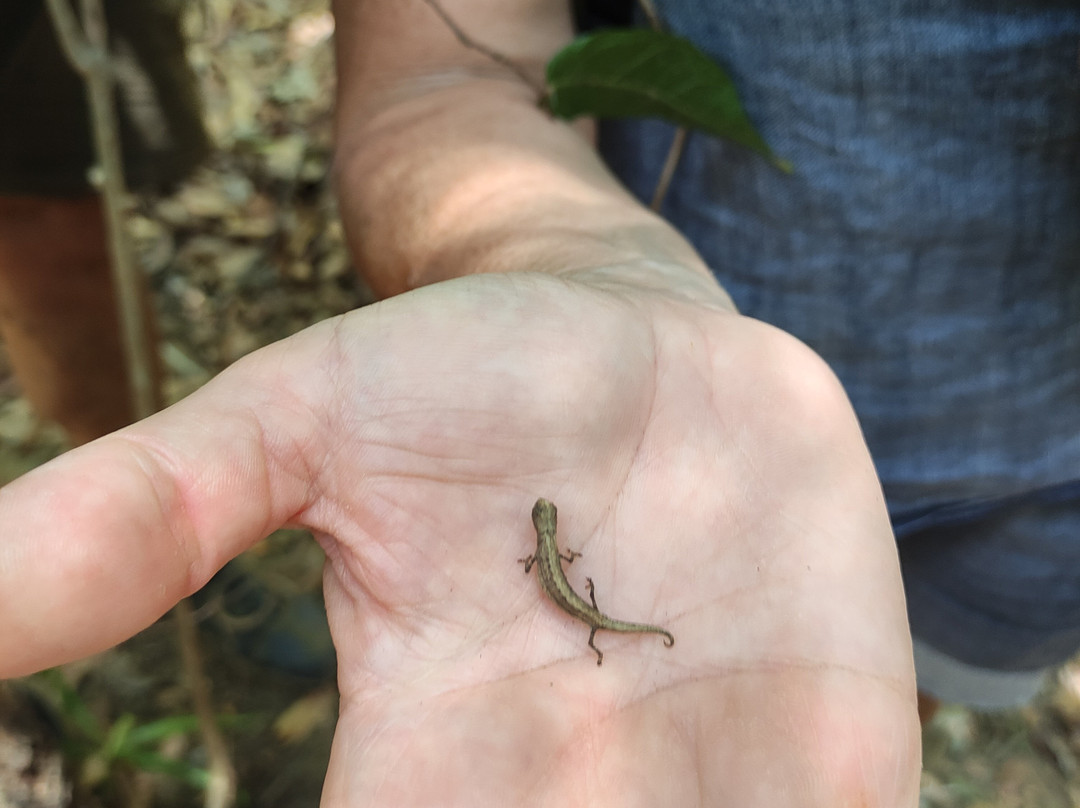 Namatours Viaggi Solidali-Toliara必去景点