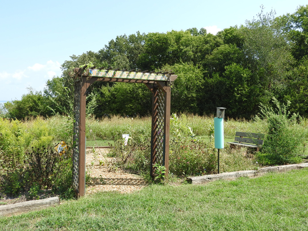 Tennessee National Wildlife Refuge-Springville必去景点