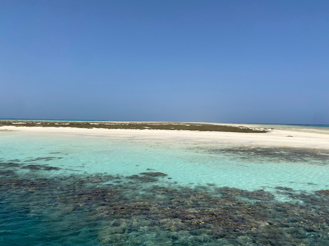 ORCA Dive Club Wadi Lahmy-马萨阿拉姆必去景点