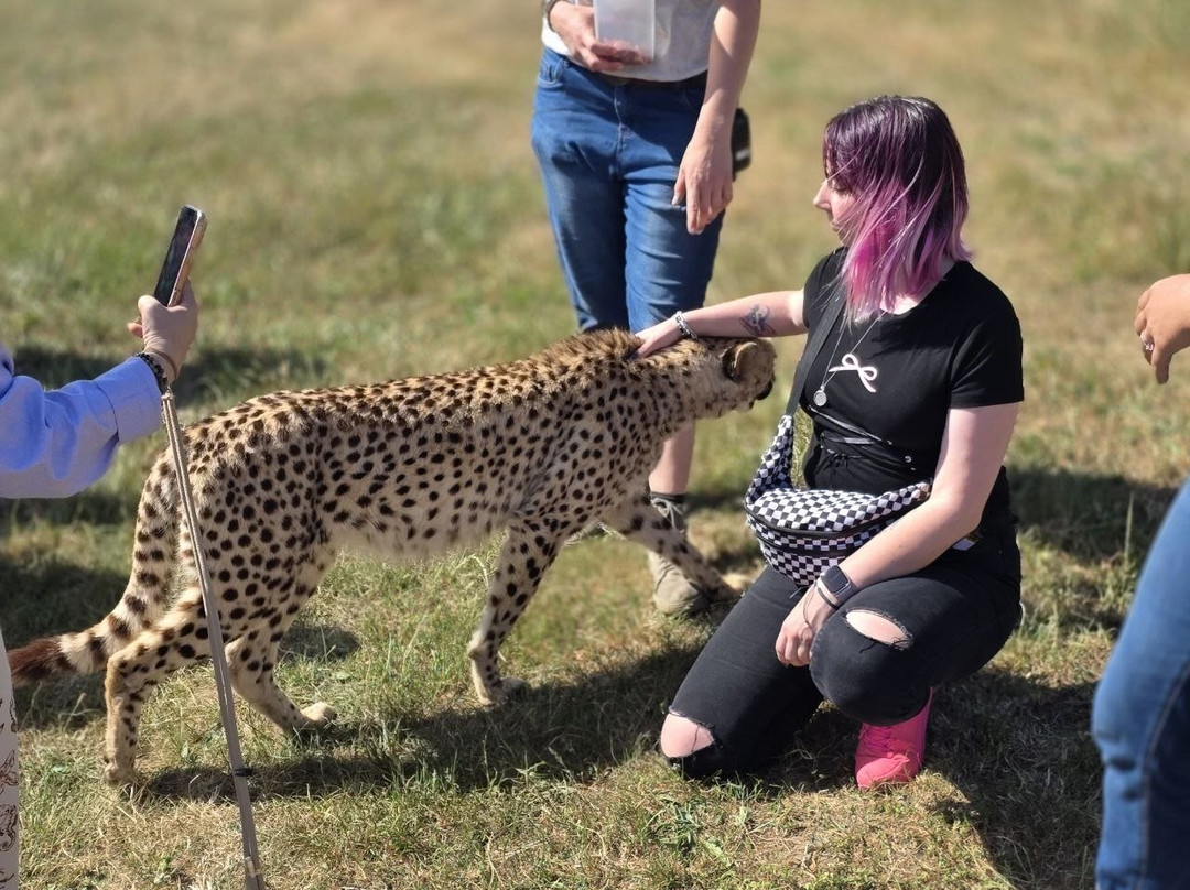 Cornell Skop-Botrivier必去景点