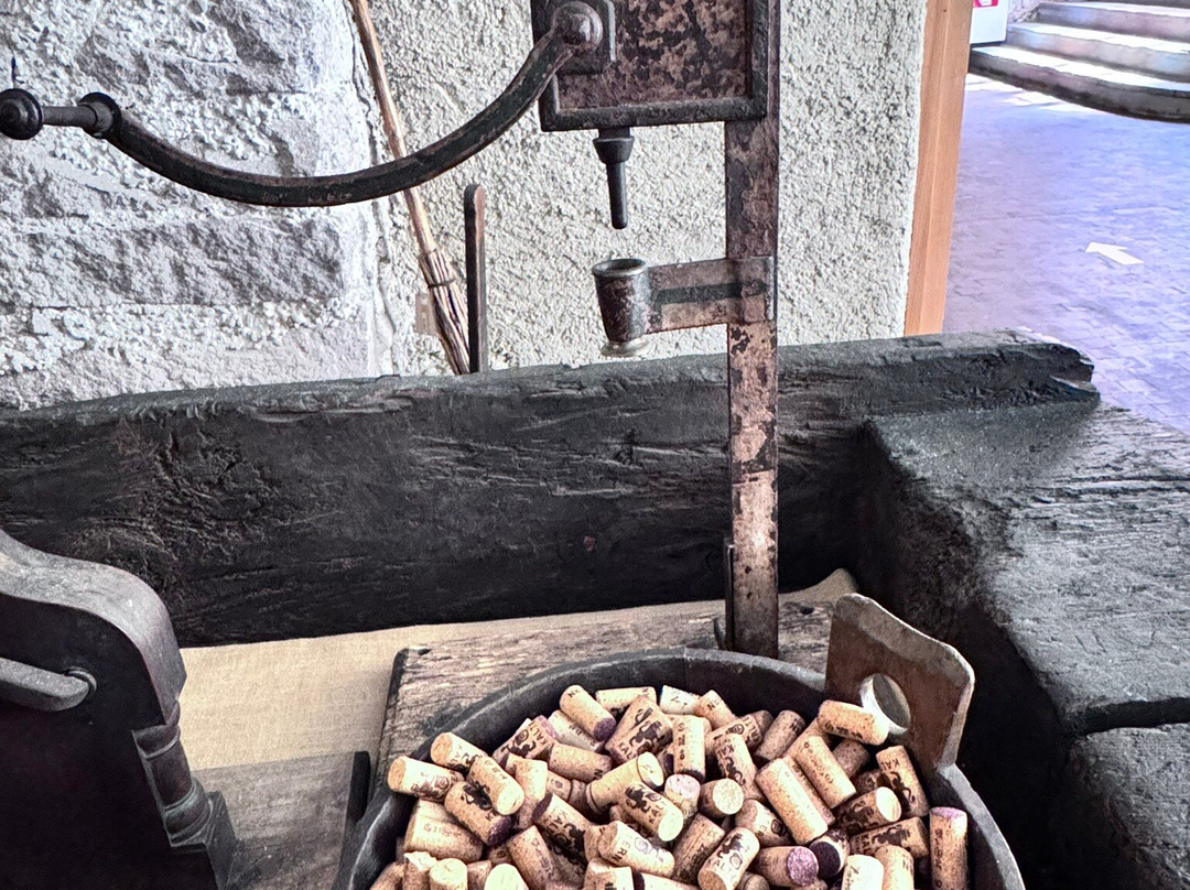 Sudtiroler Weinmuseum-Caldaro sulla Strada del Vino必去景点