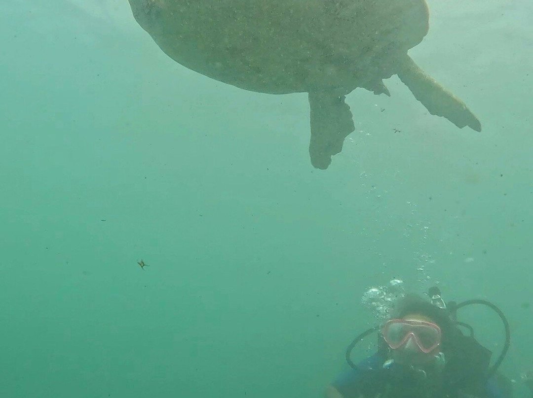 Noronhei-费尔南多-迪诺罗尼亚群岛必去景点