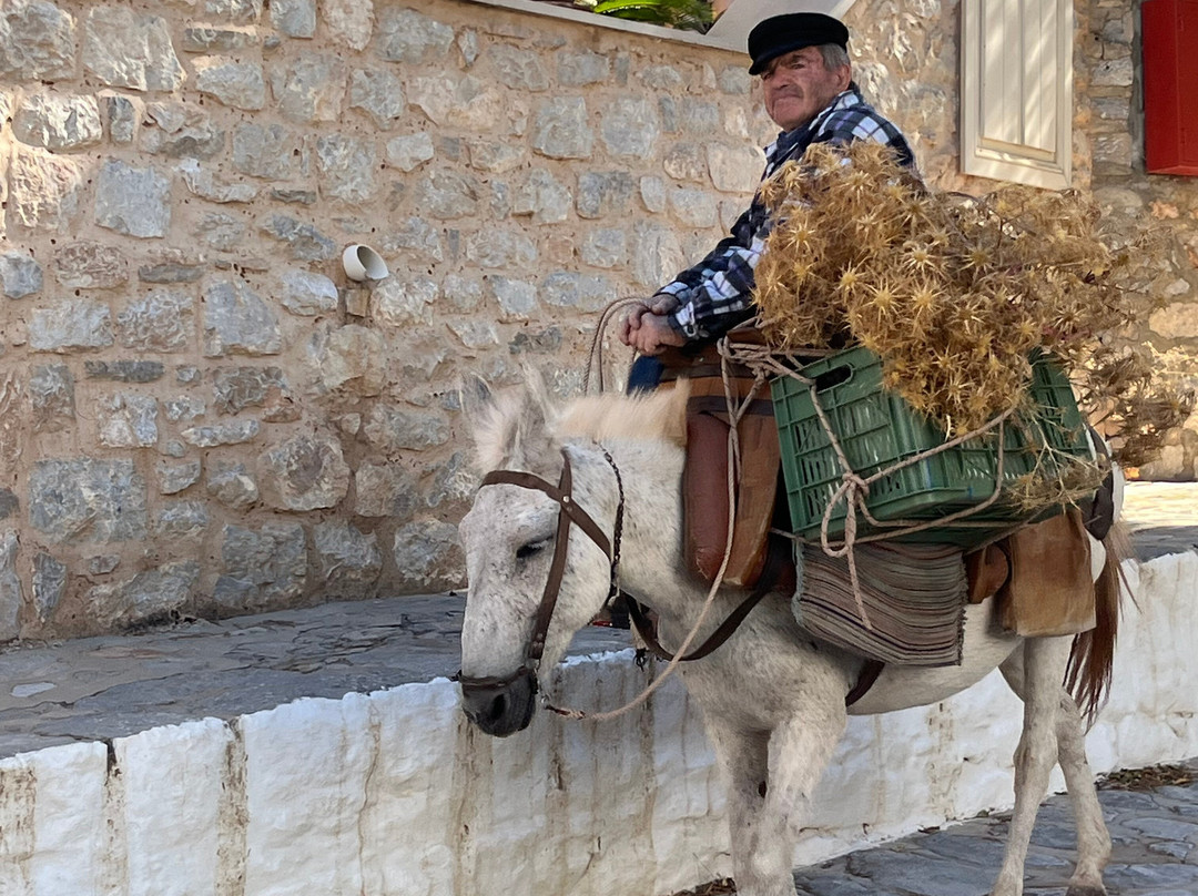 Angelica Hotel主图