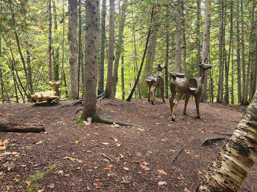 Bridal Veil Falls-Kagawong必去景点