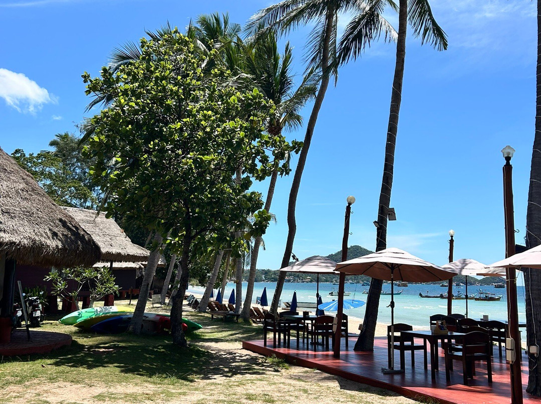 Palm Leaf Resort主图