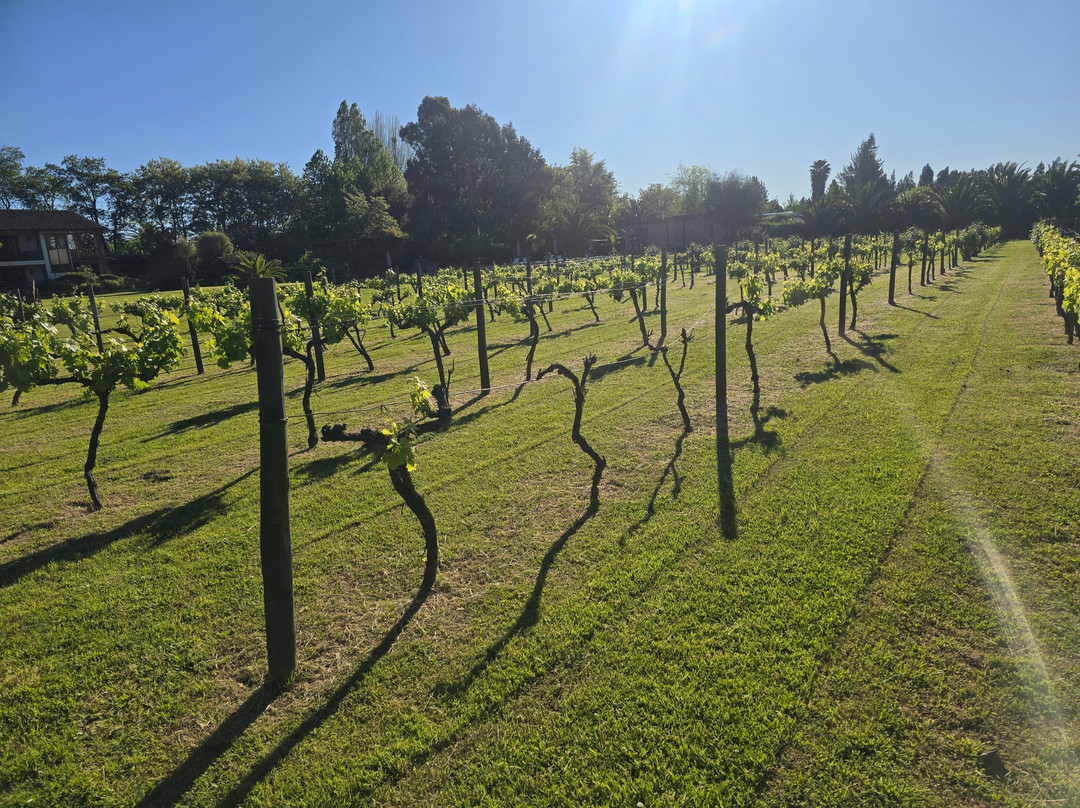 Hotel Casa De Campo主图