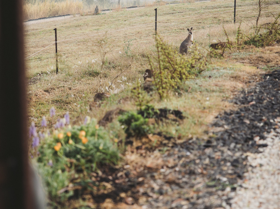The Cabin, Ghost Gum Gully-Thornton必去景点