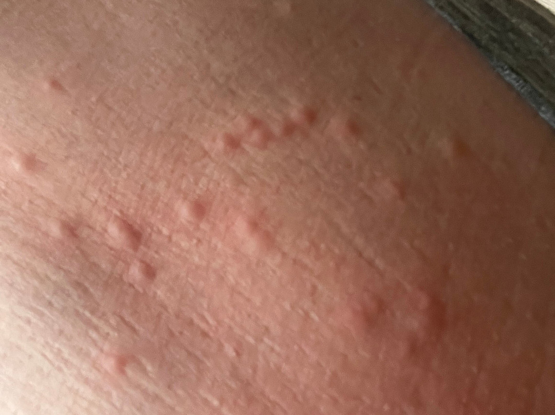 Microtel Inn & Suites by Wyndham Zephyrhills主图