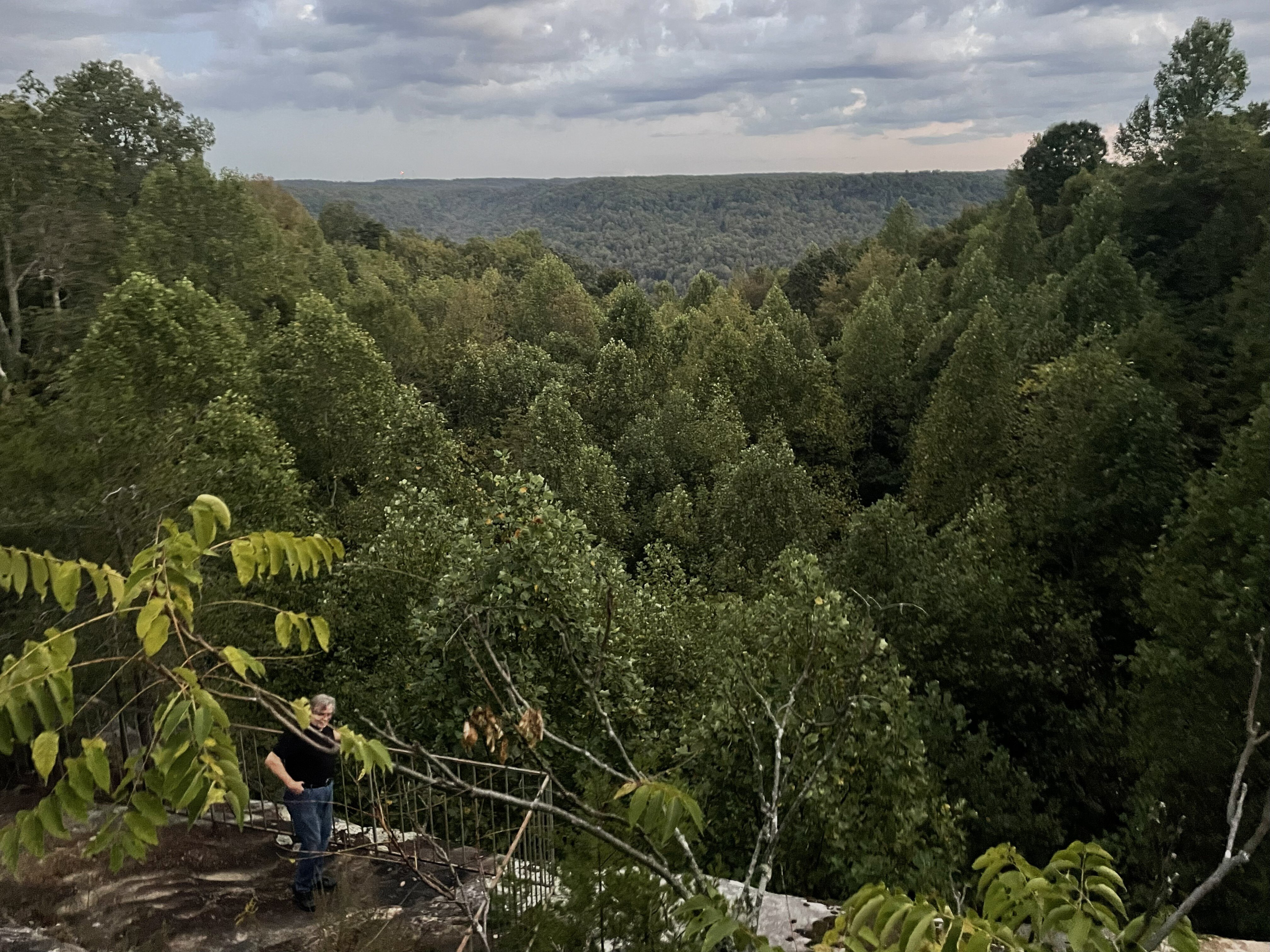 The Garden Inn-官方