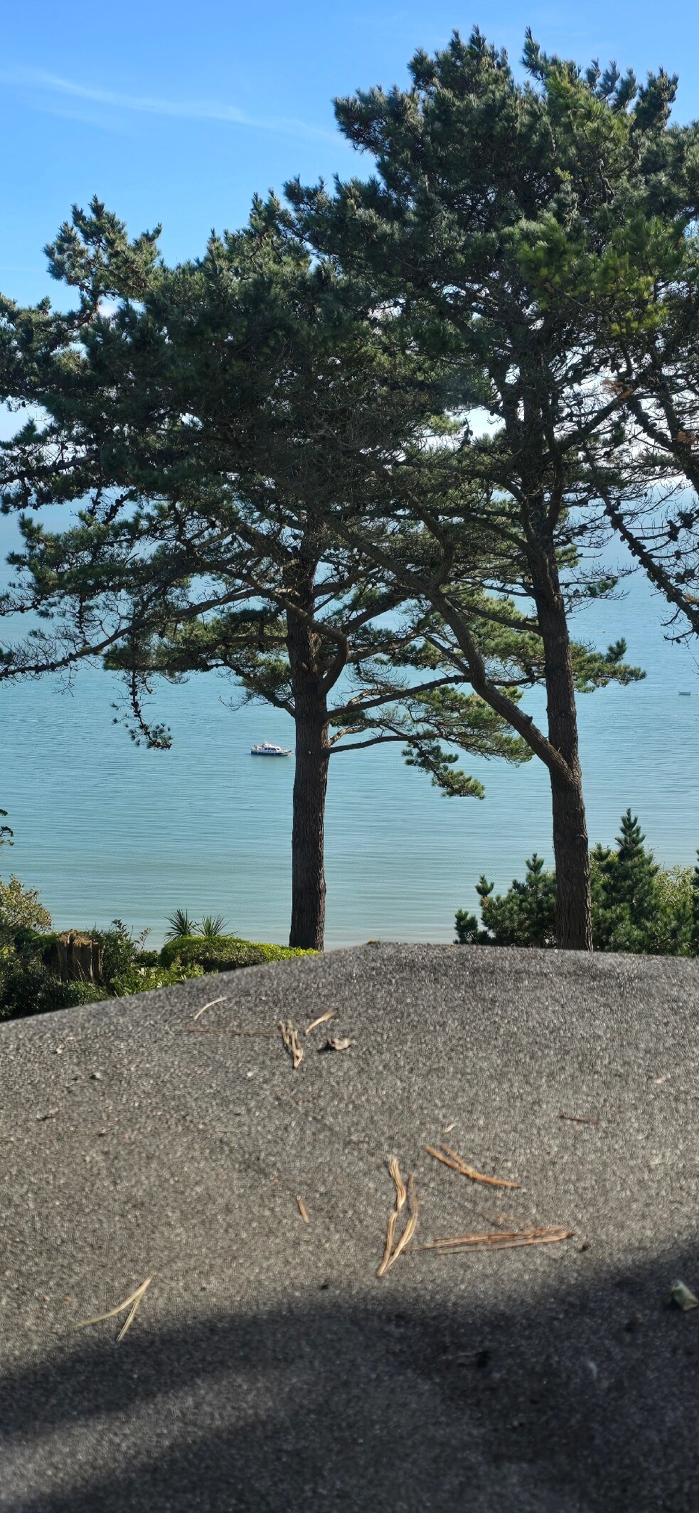 The Park Hotel Tenby-官方