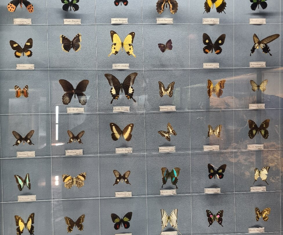 Il Nibbio-Morano Calabro必去景点