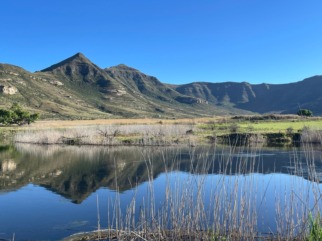 Moolmanshoek Private Game Reserve主图