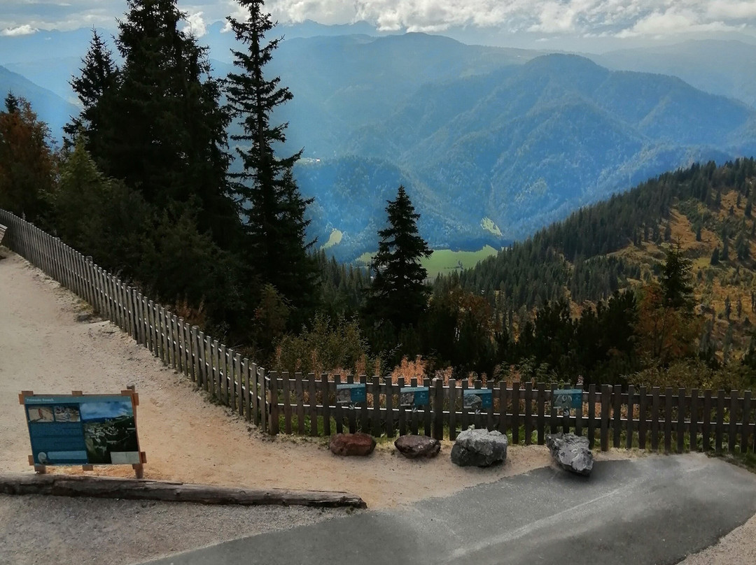 Bergbahnen Steinplatte Waidring-瓦埃德令必去景点