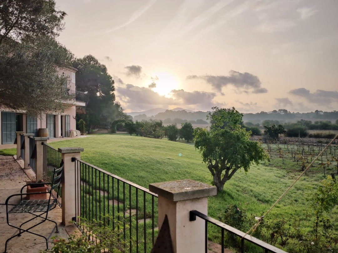 Son Menut Finca主图