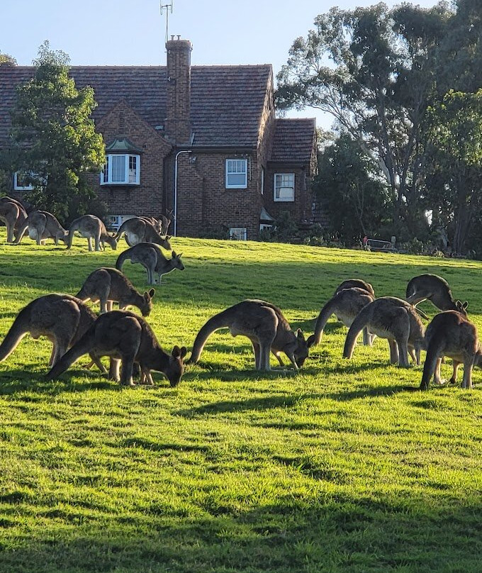 Westerfolds park-Templestowe必去景点