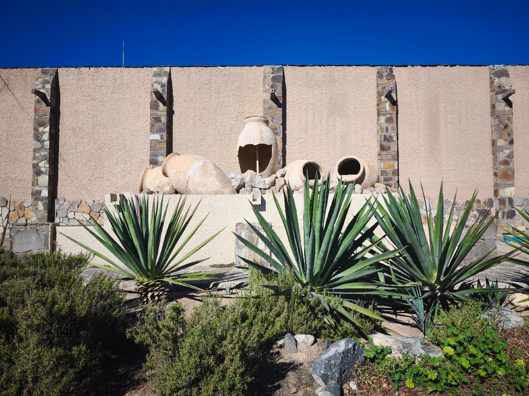 Bodegas Domecq-恩塞纳达必去景点