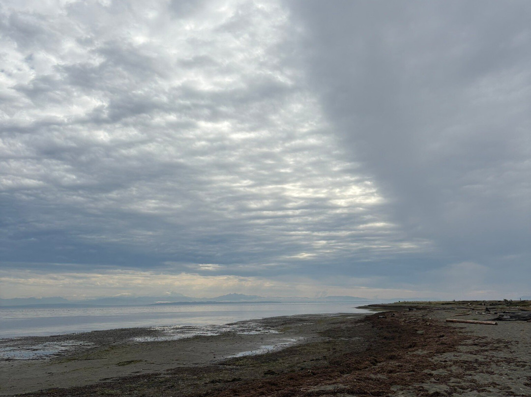 Boundary Bay Regional Park-Delta必去景点