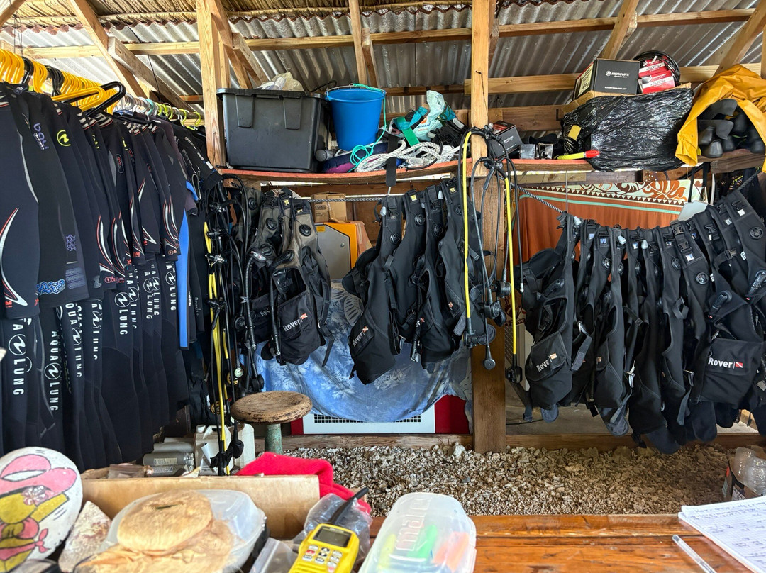 Enata Fakarava Diving-Fakarava必去景点