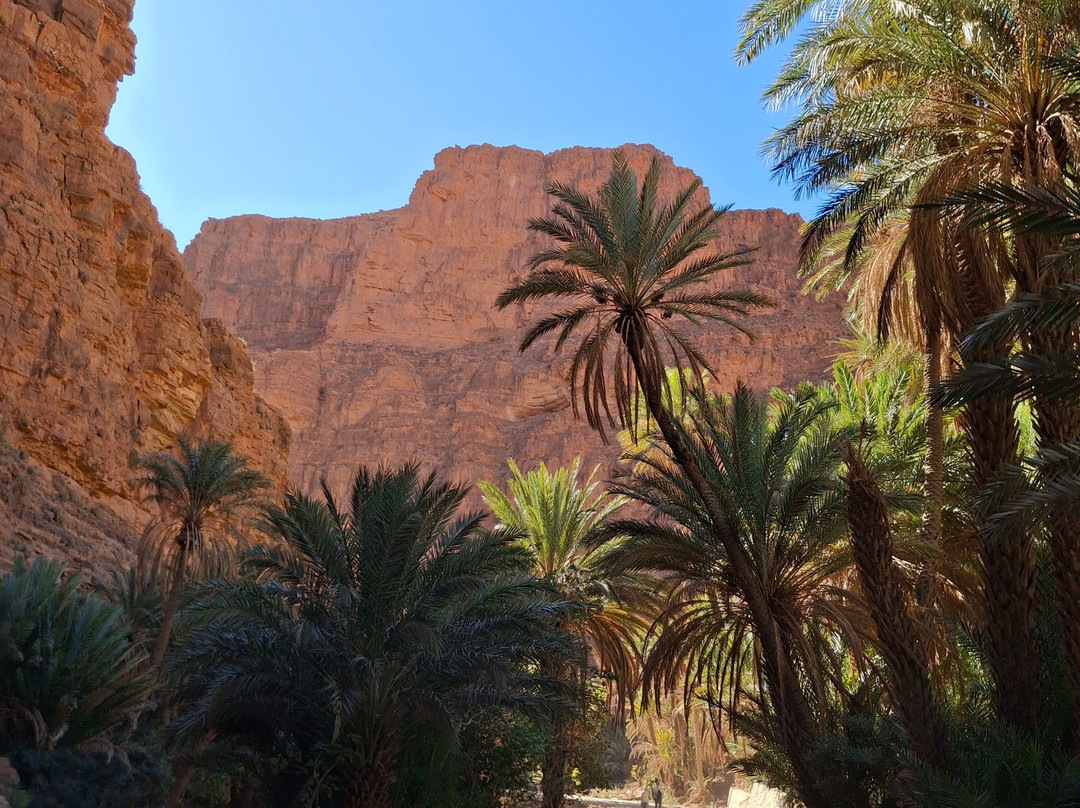 Atlas Experience-瓦尔扎扎特必去景点