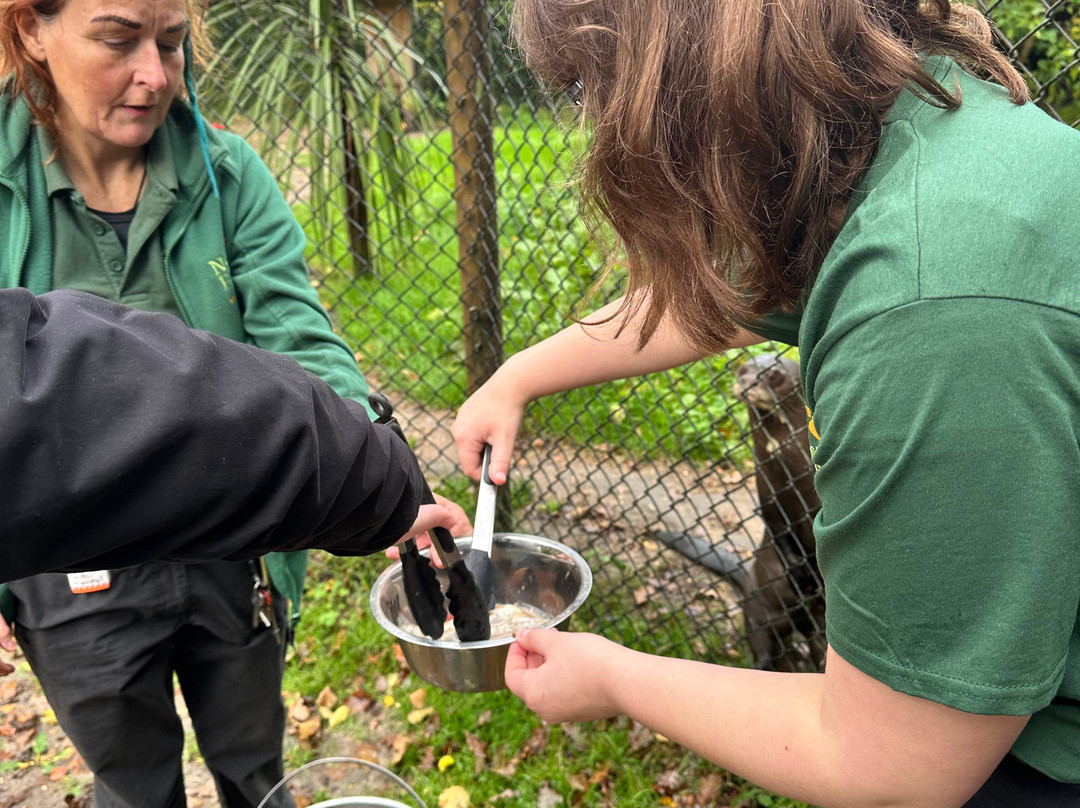 New Forest Wildlife Park-Ashurst必去景点