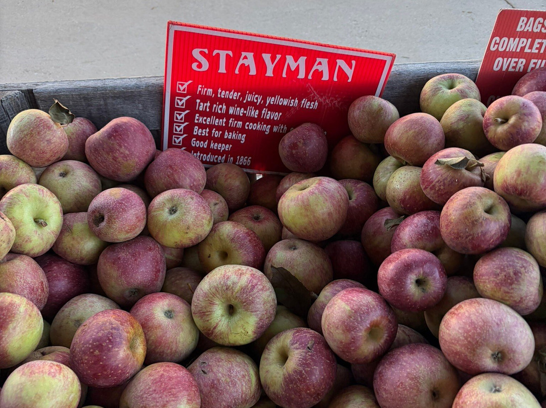 Grandad's Apples-亨德森维尔必去景点