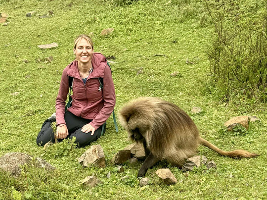 Ethiopian Wolf Trekking-Debark必去景点