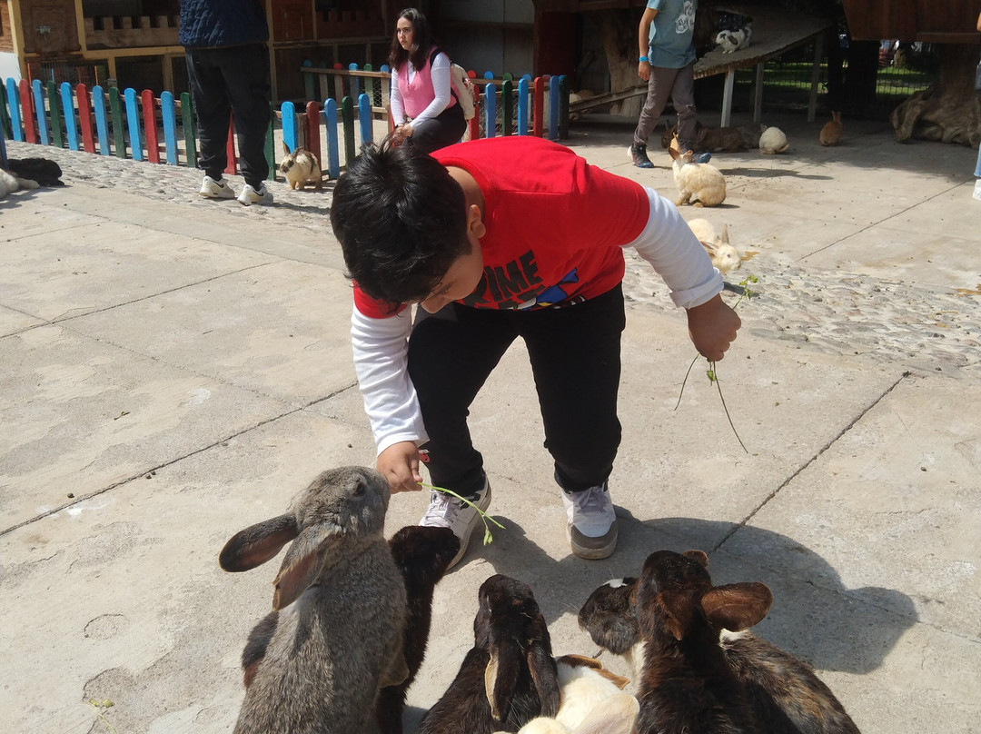Volcanic Park-普埃布拉必去景点