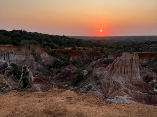 Kenya Safari Azzurro-瓦塔木必去景点